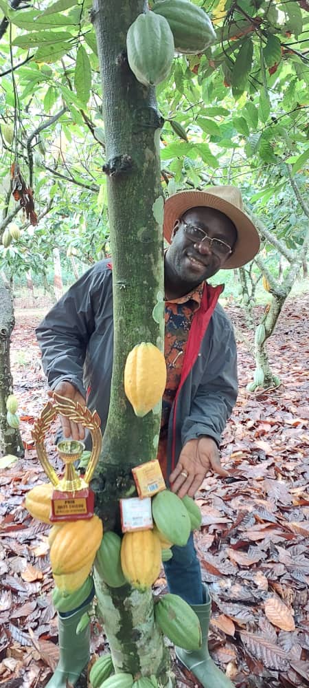 Forastero Cocoa