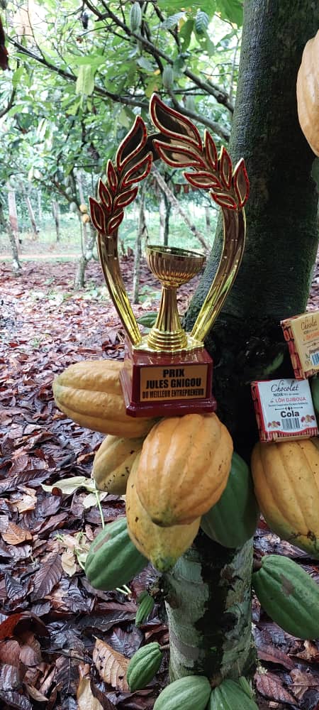 Criollo Cocoa