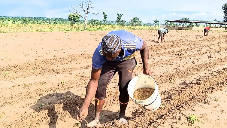 Sustainable Farming