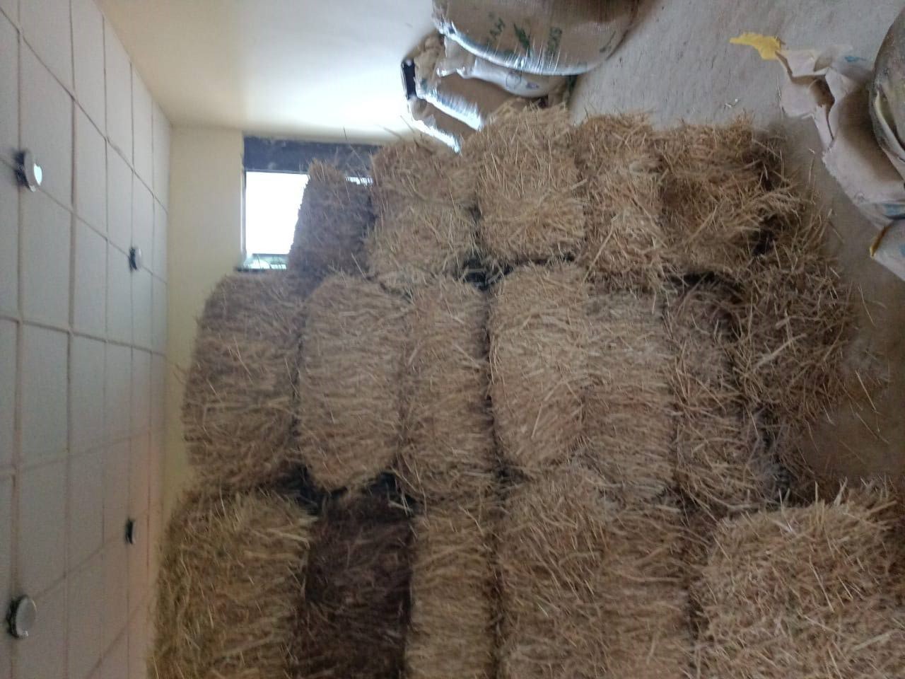 Nutritional Feed Mix